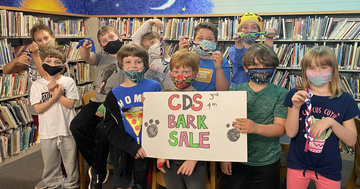 033021 Bark sale class